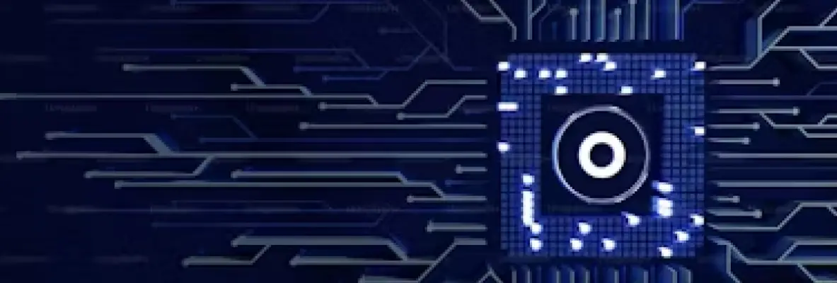 image of a microchip